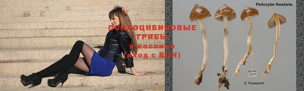 прущая мука Аркадак