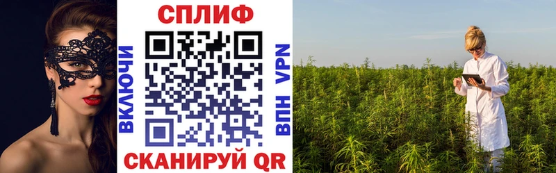 Каннабис SATIVA & INDICA купить закладку Никольск